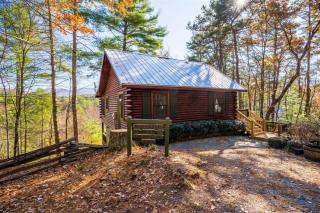 Hog Heaven - Cherry Log GA - Pet Friendly Cabin - Cherry Log - 9