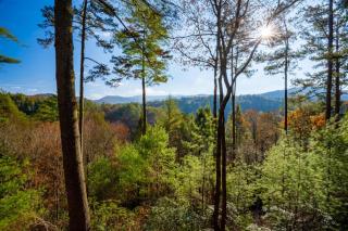 Hog Heaven - Cherry Log GA - Pet Friendly Cabin - Cherry Log - 8