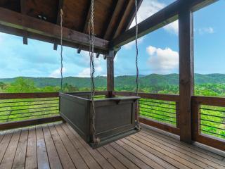 Dream Catcher - 270 Degree Mountain Views - Blue Ridge - 9