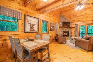 Hibernation Station - Hot Tub, Fireplace, Serene Forest Views - Cherry Log, GA - Blue Ridge - 1