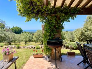 Cottage Lavanda con vista mare, aria condizionata by ToscanaTour - 5