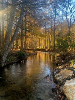Stanley Creek Lodge - Private Pool and Fishing - Heated Private Pool, Spacious Rooms, Scenic Views, Creekside Firepit, Trout Str - Blue Ridge - 3