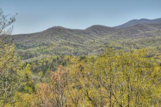 A Birds Eye View - Blue Ridge GA - Pet Friendly - 2