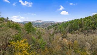 Golden Getaway - Mountain Views, Hot Tub, Outdoor Fire Pit, Cozy Accommodations - Mineral Bluff, GA - Mineral Bluff - 7