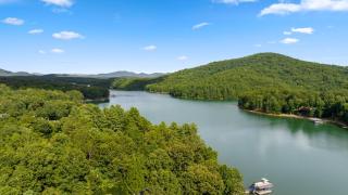 The Loose Caboose - Blairsville GA - Lake Views, Cozy Fireplace, Screened Porch, Free Firewood, Corn Hole Boards, Tire Swing, Ha - Mashburn Mill - 9