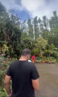 Vintage Retreat 1970's - 3