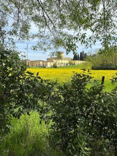Appartamento in Castello - Firenze - 3