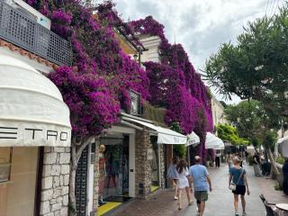 LUXURY House in VILLA POMPEIANA Via Camerelle con Terrazza Vista Mare - Capri - 9