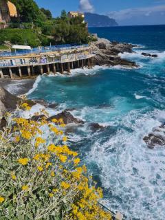 Altamarea - Genova - 7