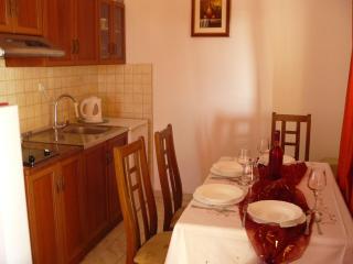 Villa Oliva - Pakoštane - 9