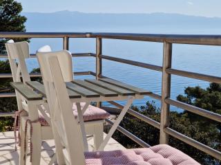 Apartments Vitarnja Hills beautiful terrace sea view with near turquoise beach - Jelsa - 8