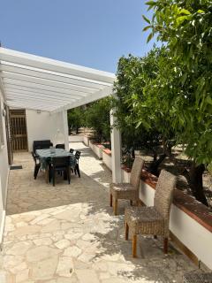 Sweet home Angi - Marsala - 6