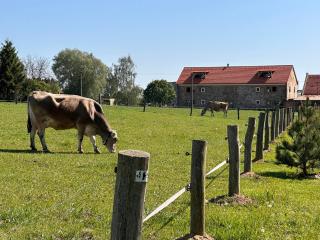 Farma Bláto - Apartmány Sýpka a glamping - Uhlířské Janovice - 9