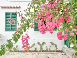 Costa Inn Beach House with Pool by Homeful Homes - Costa da Caparica - 9