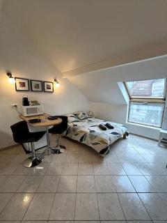 Le Mirande Studio indépendant dans maison - Dijon - 0
