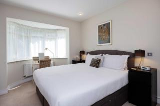 Veeve - Ace Delights - 1