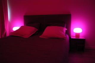 Bel appartement rénové - Place du Palais avec Parking - 1