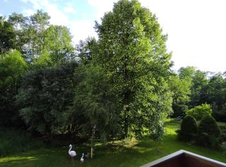 Apartament Fantazja w Zakopanem - 1