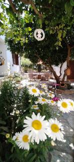 Sunny Days beach house - Ayía Kiriakí - 6
