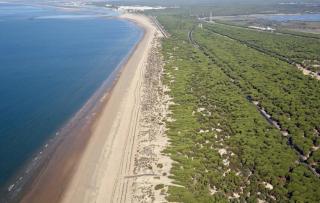 Apartamentos Atlántico - Punta Umbría - 4