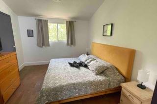 Lovely one bedroom apartment surrounded by nature - Tepoztlán - 8