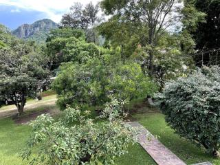 Lovely one bedroom apartment surrounded by nature - 6