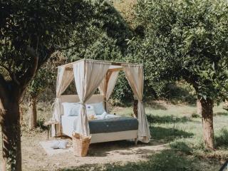 Star Sleep Vryses -Orange Grove - Vrísai - 0