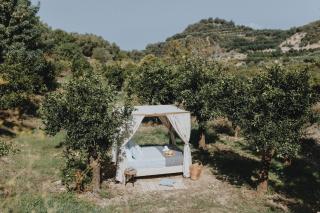 Star Sleep Vryses -Orange Grove - Vrísai - 3
