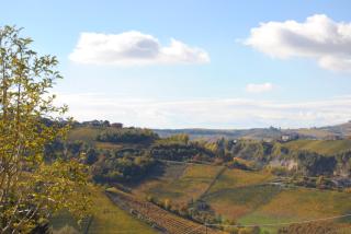 Agriturismo I Grappoli - Serralunga d'Alba - 9