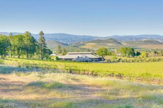 Kelseyville Cottage Private Deck and On-Site Winery - Kelseyville - 9