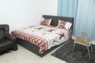 Furnished, 2 Bedroom Apartment Spintex Road - Accra - 3