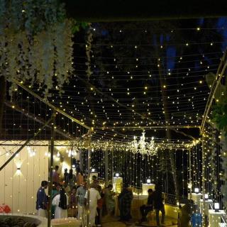 Kurinjirappallil Farms - Paithalmala - 3