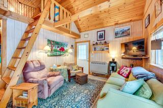 Denmark Waterfront Cabin with Dock and Charcoal Grill! - Denmark - 6
