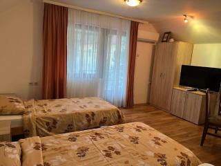 Studio Milisavljevic - Sokobanja - 7