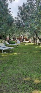 La Teodolinda - Arezzo - 7
