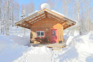 Birch Cabin - Talkeetna - 1