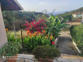 Aglaia House - 5