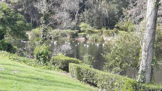 DOMAINE et MER - Six-Fours-les-Plages - 3