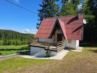 Planinski vrh - Bajina Bašta - 0
