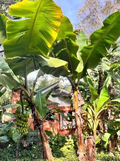 Raices Amambai Lodges - 3