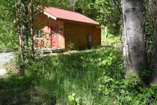 Birch Cabin - Talkeetna - 0