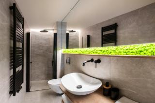 White Wolf Boutique Apartments - Olomouc - 7