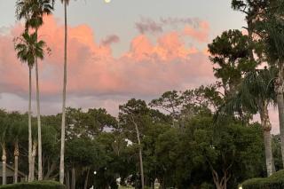 Fox Hunt Studio Suite - Golf Course Views - 1