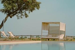 Herdade Vale de Cabras - Portel - 0