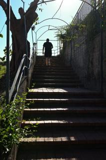 Il Giardino di Morris - Giardini-Naxos - 7