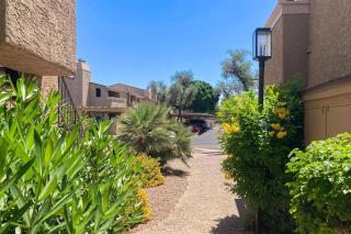 Sonoran Starlight - 8