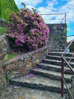 Heavenly - Tourist Apartment - Belgirate - 4
