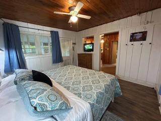 Mountain Lake Cottages - Hendersonville - 0