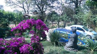 Acogedor Bungalow en medio del bosque de Tepoztlan - - 2