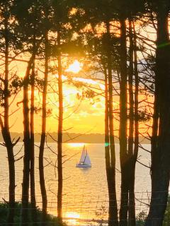 Studio Centre Ville - Arcachon - 2
